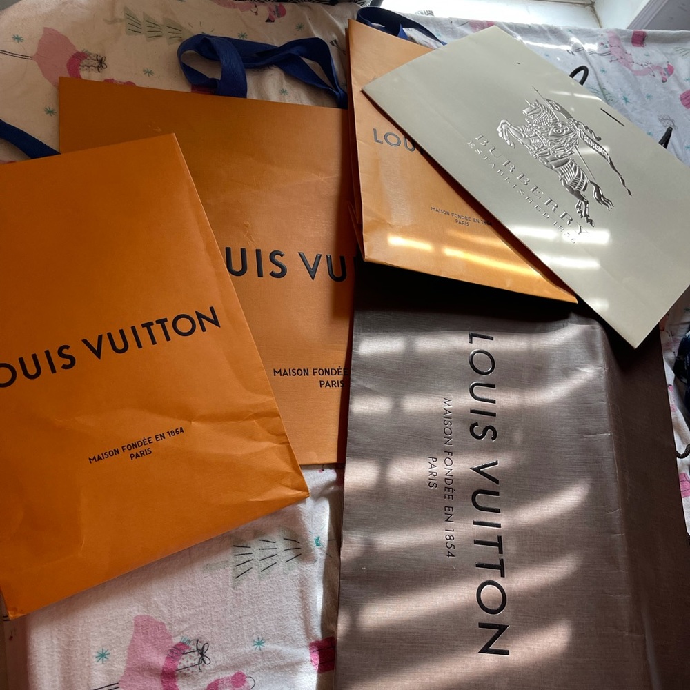 Louis Vuitton store bags